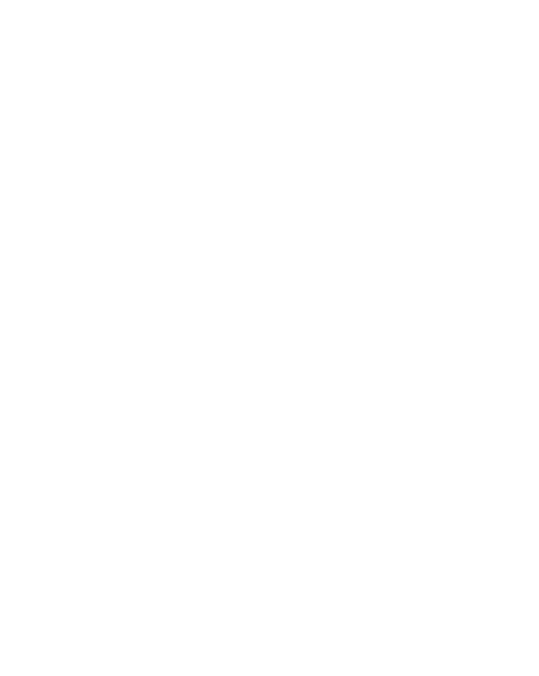12blues logo