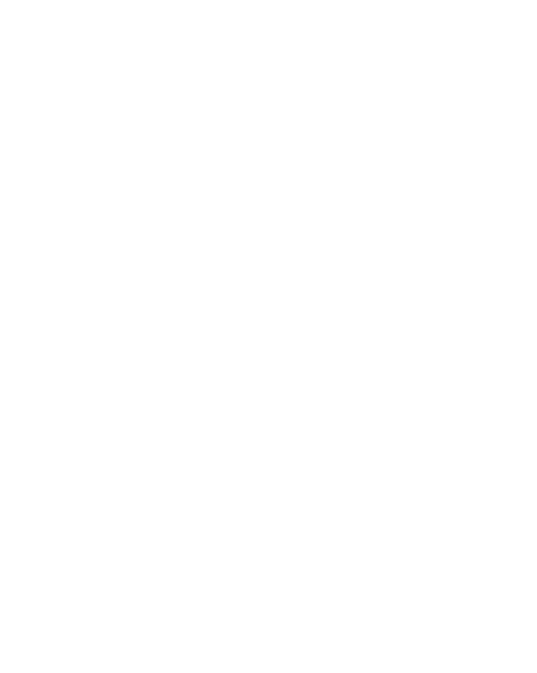 12blues logo